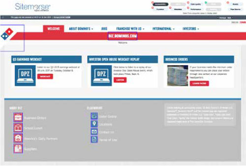 A screenshot showing accessibility issues highlighted on the Domino's website.