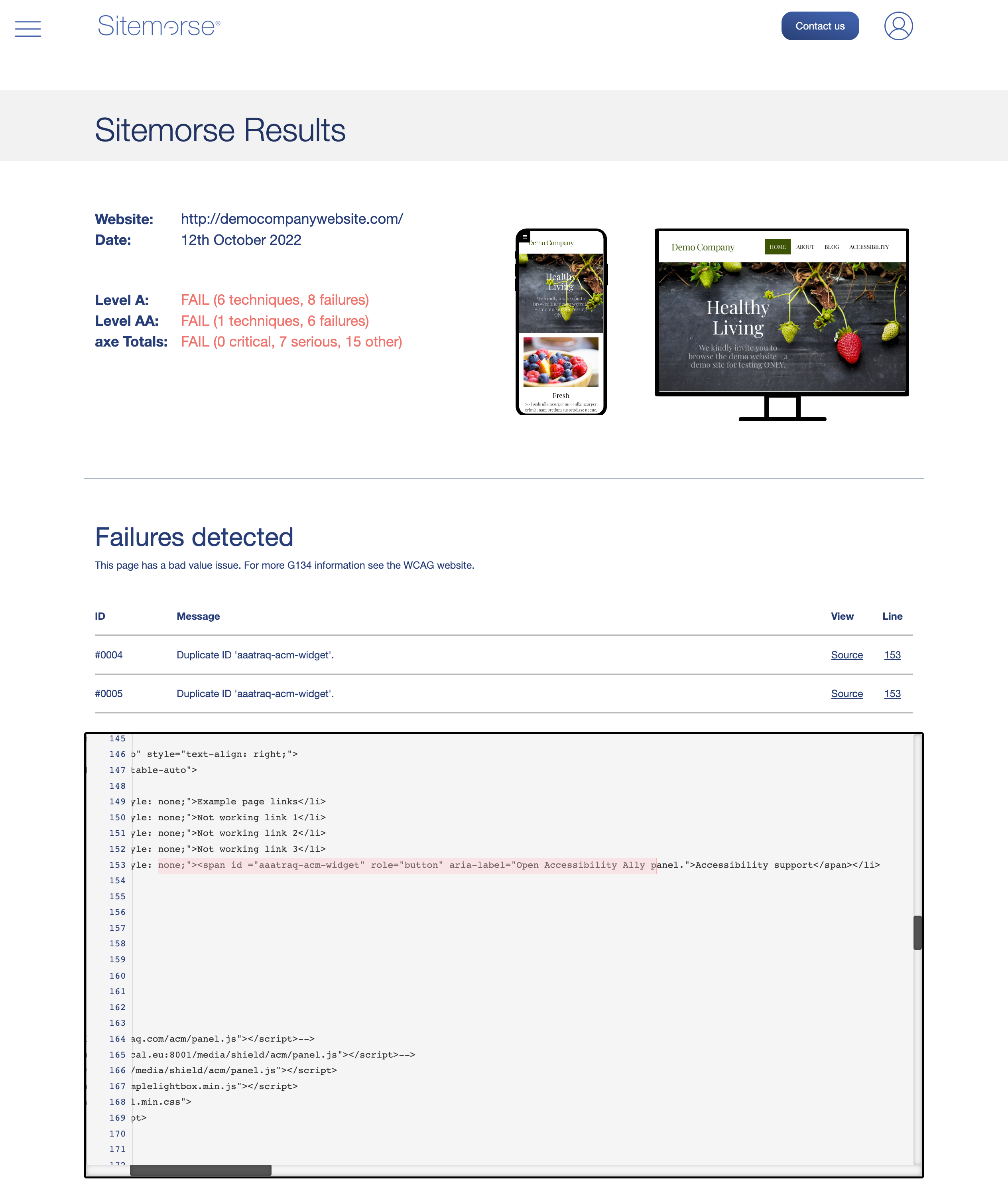 Screenshot of Sitemorse Check Page Showing Additional Diagnostic Detail